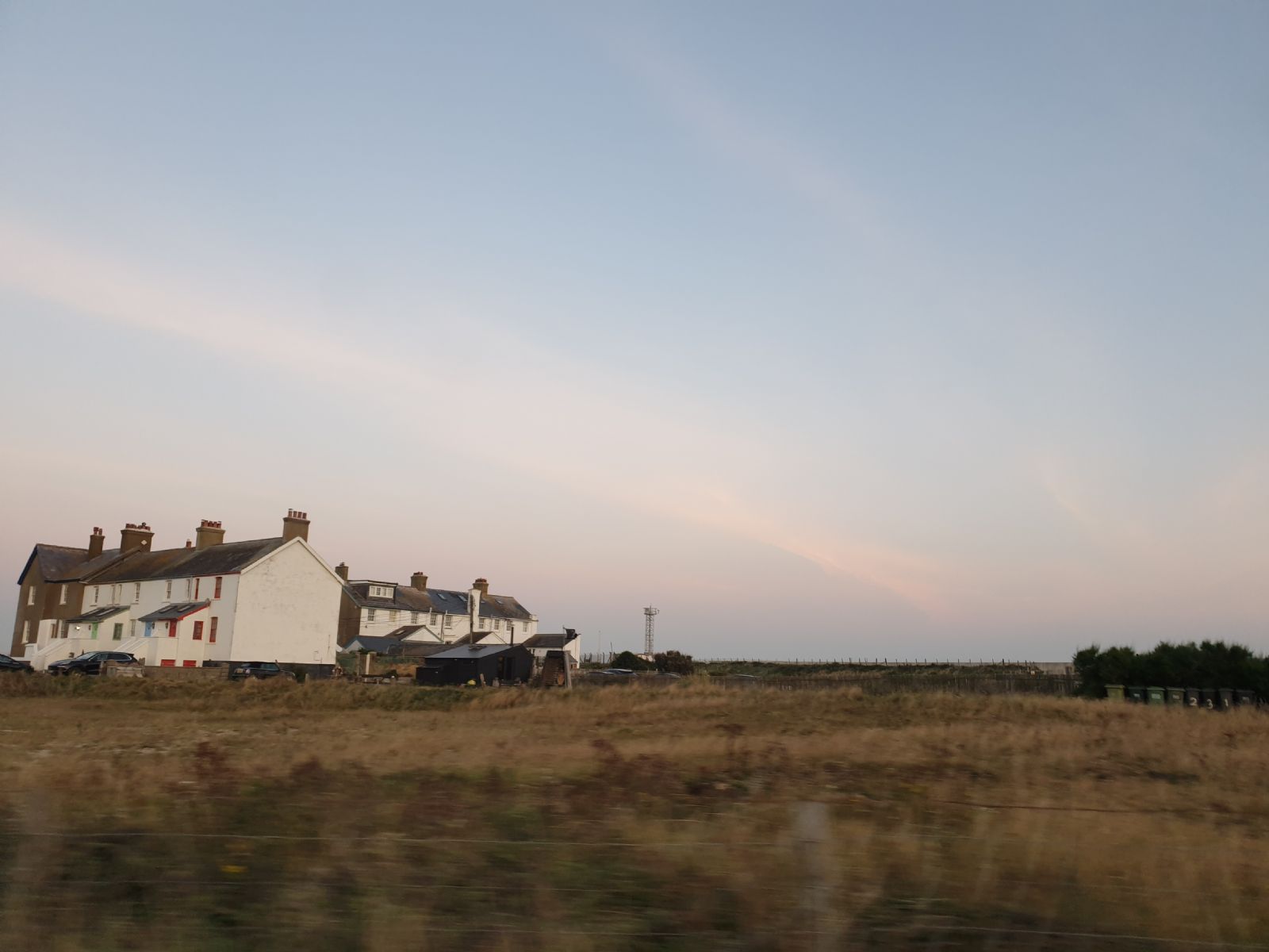 Dungeness