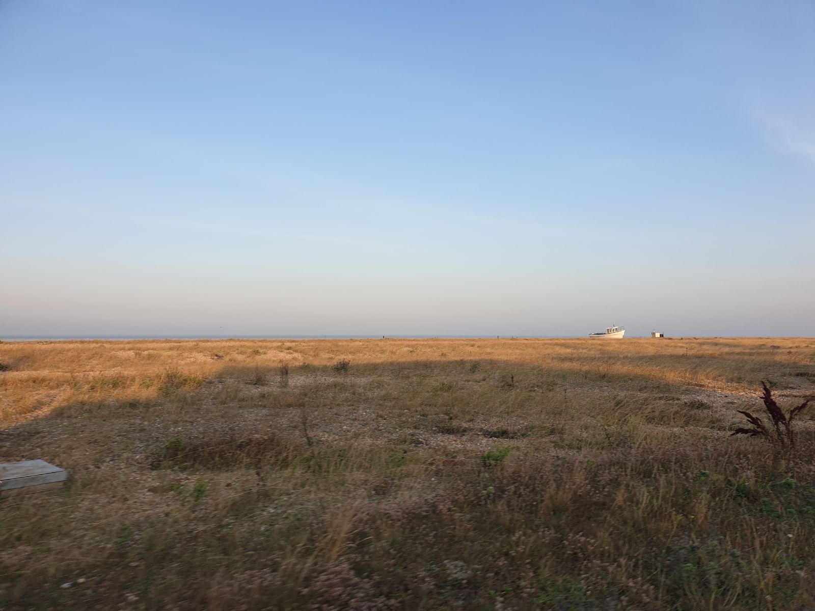 Dungeness