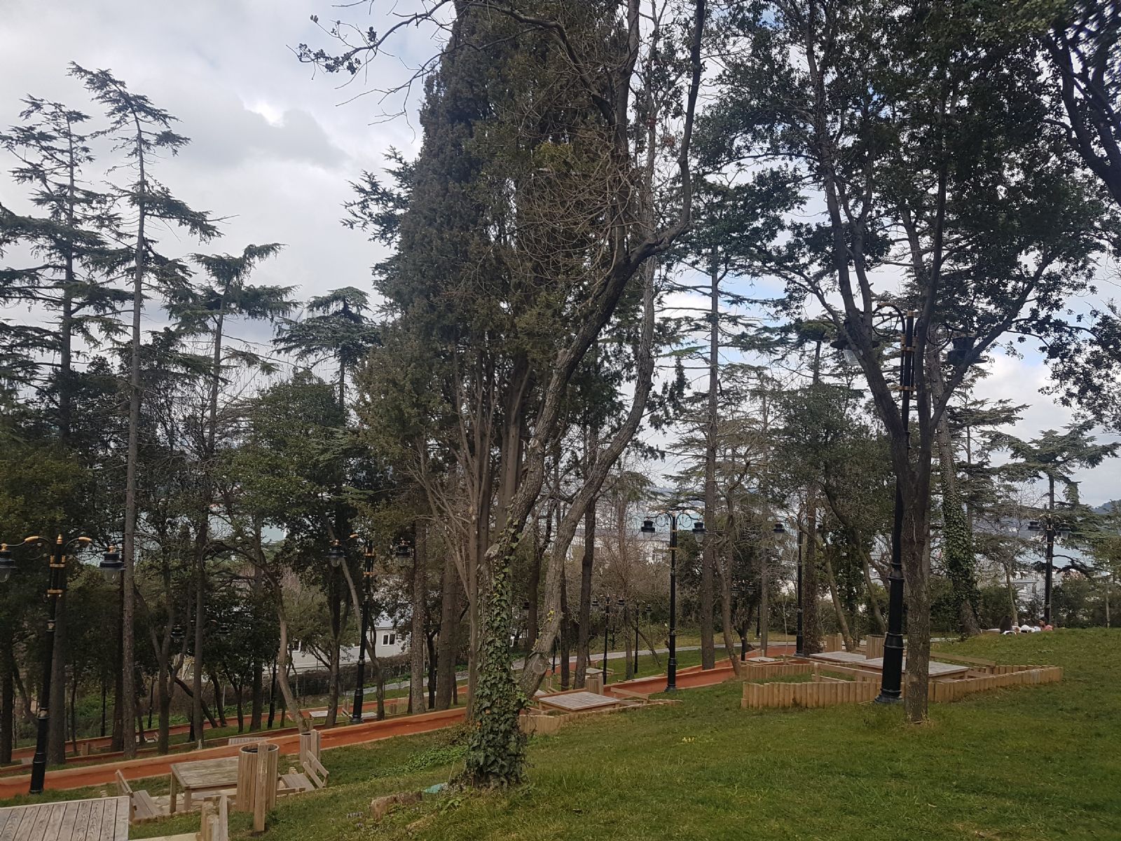 NAKKASTEPE MILLET BAHCESI