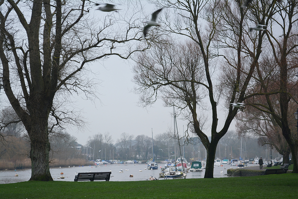 Christchurch, Dover  by Ozge Kabadayi