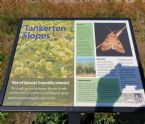 Tankerton Slopes